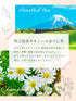 Chamomile x Hojicha 茶包 2.5g x 35p